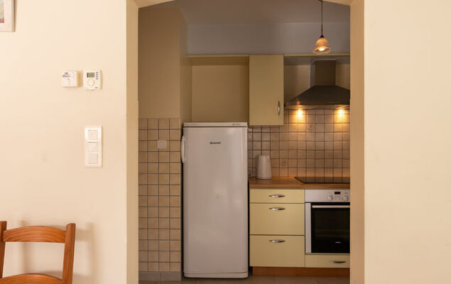 Hortensias - Photo 10