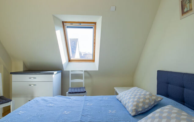 Hortensias - Photo 29