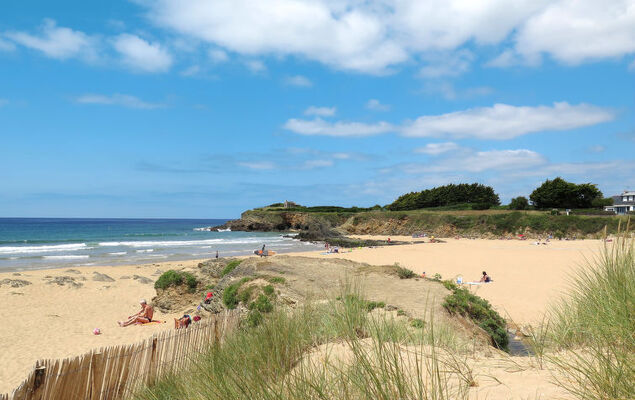 Hortensias - Photo 37