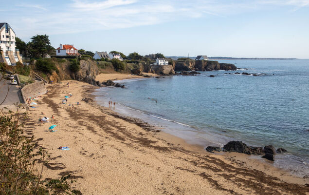 Hortensias - Photo 38