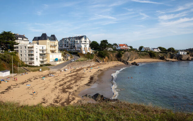 Hortensias - Photo 39