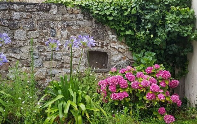 Penty Landromiou - Photo 19