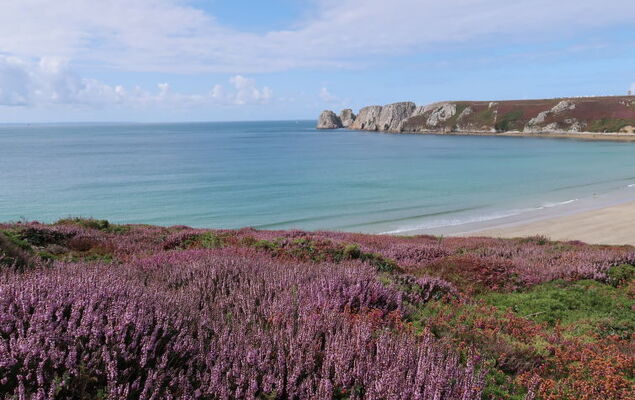 Penty Landromiou - Photo 27