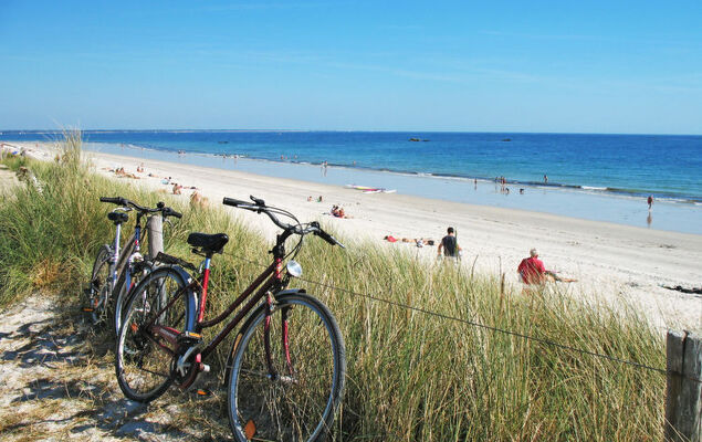 Le Petit Poirier - Photo 23