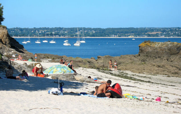 Le Petit Poirier - Photo 24