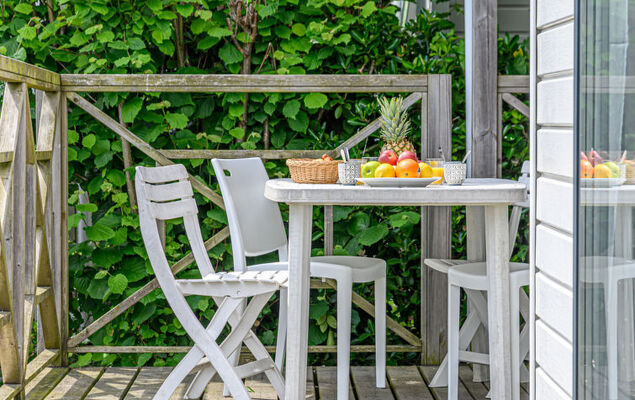 L'avocette - Photo 5