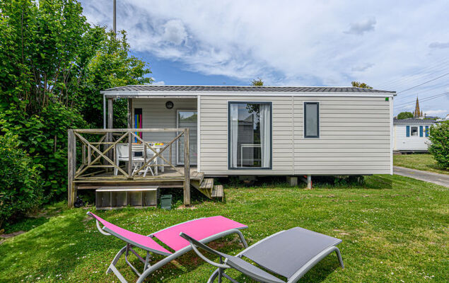 L'avocette - Photo 19