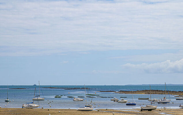 Lann Er Grelen - Photo 17