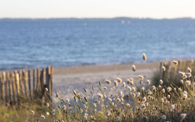 Le Courlis - Photo 24