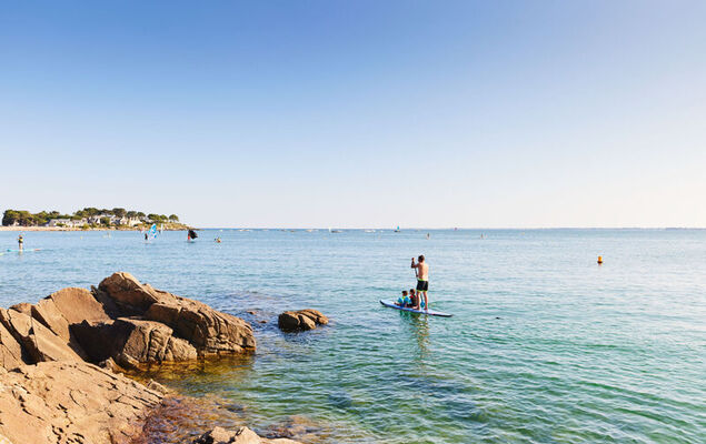 Le Courlis - Photo 25