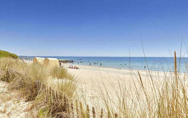 Le Courlis - Photo 26