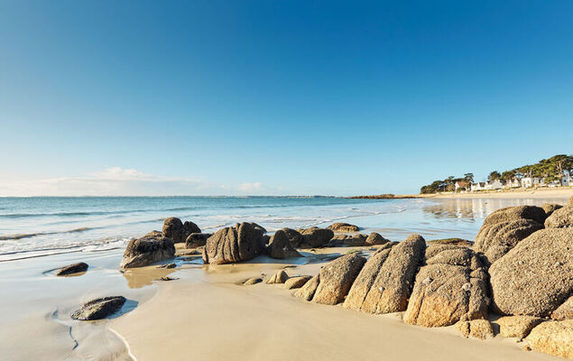 Le Courlis - Photo 27