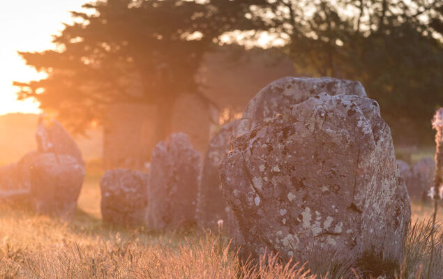 Le Courlis - Photo 29